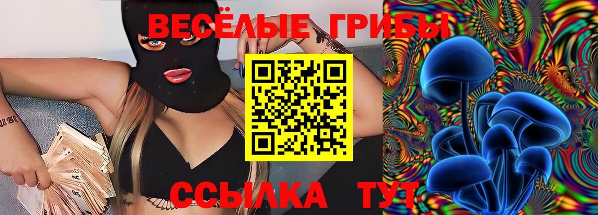 Псилоцибиновые грибы ЛСД  Вход с VPN  Благодарный  Псилоцибиновые грибы Magic Shrooms 